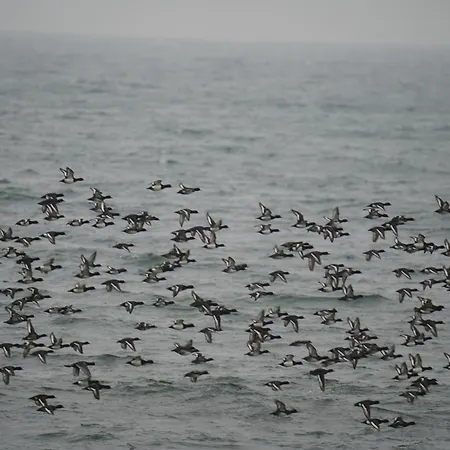 Am Waeldchen 아파트 징스트